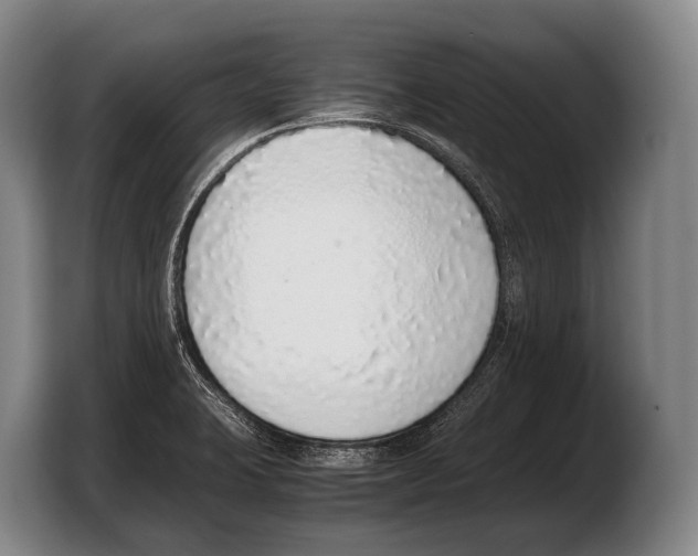 X0000103331423200810061005