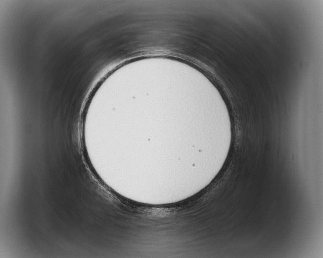 X0000103331424200810061005