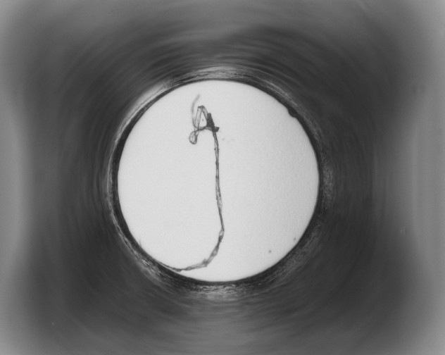 X0000103331426200810061006