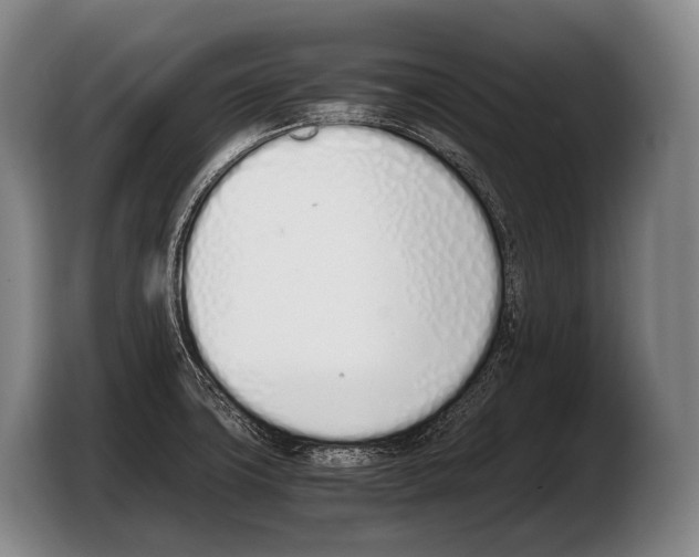 X0000103331427200810061006