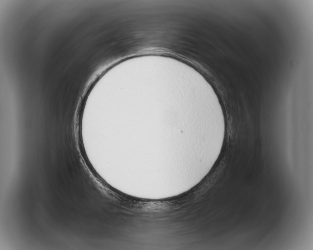 X0000103331430200810061006