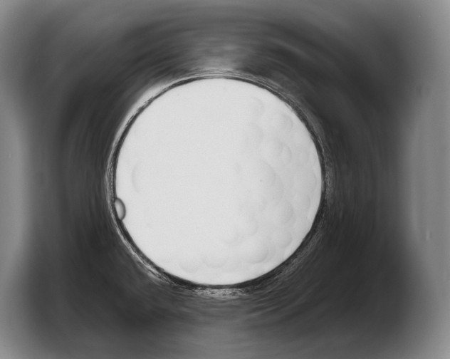 X0000103331432200810061006