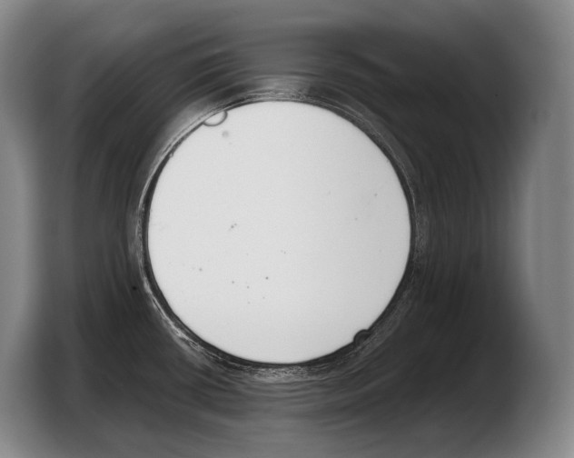 X0000103331434200810061006