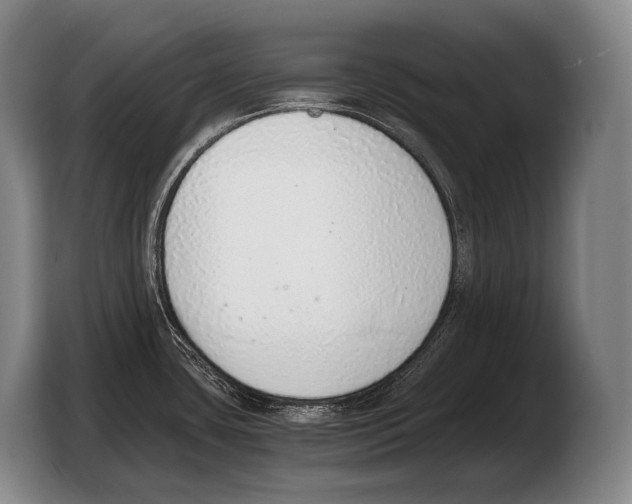 X0000103331435200810061006