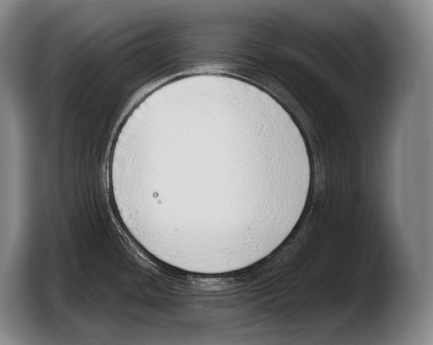 X0000103331436200810061006