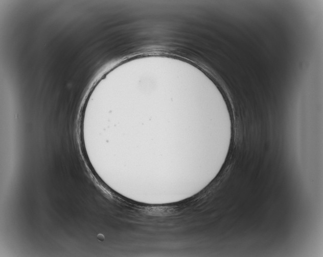 X0000103331437200810061006