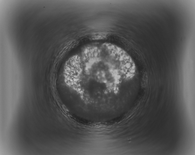 X0000103331441200810061005