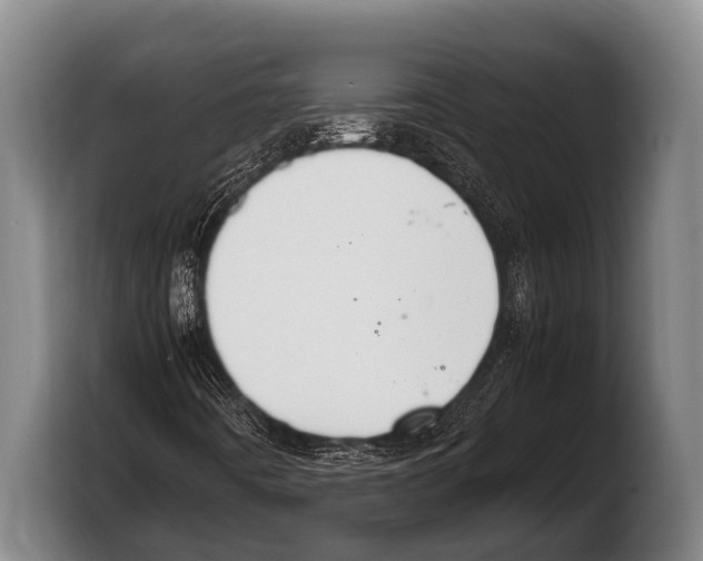 X0000103331442200810061005