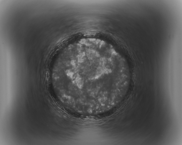 X0000103331445200810061005