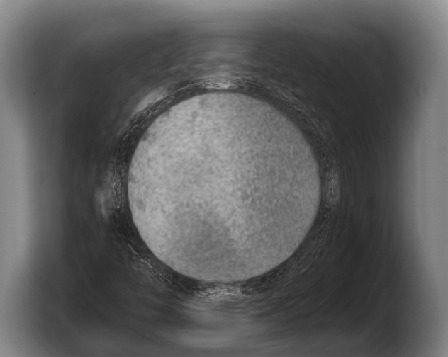 X0000103331446200810061005