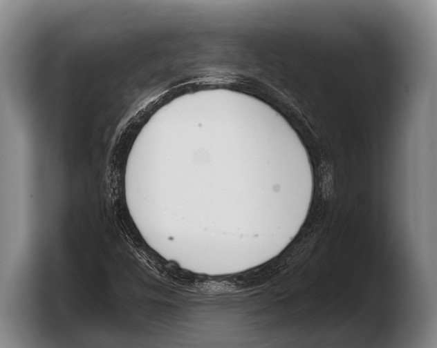 X0000103331448200810061005