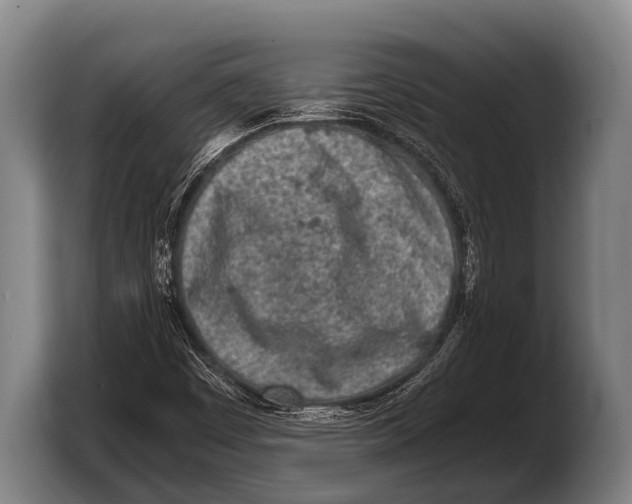 X0000103331449200810061005