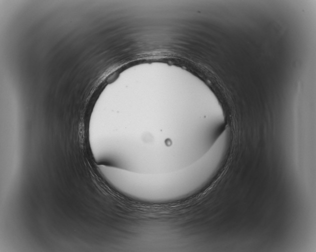 X0000103331457200810061005