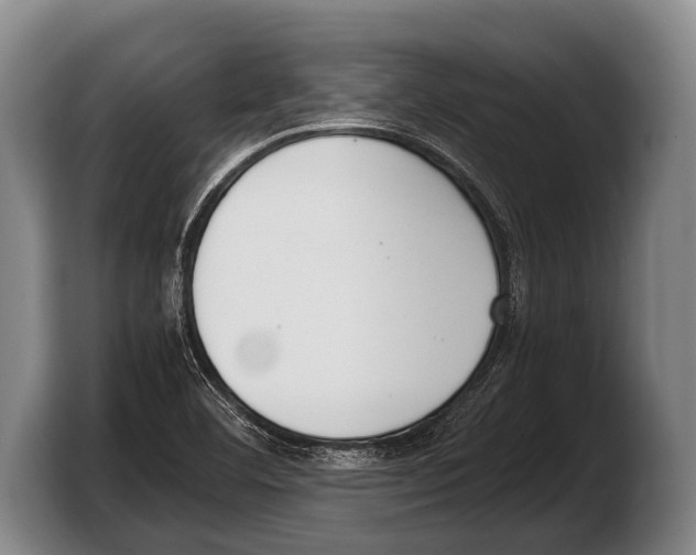 X0000103331460200810061005