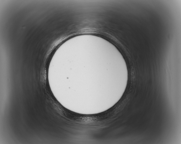 X0000103331461200810061005