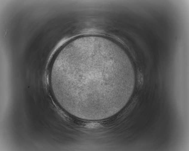 X0000103331462200810061005