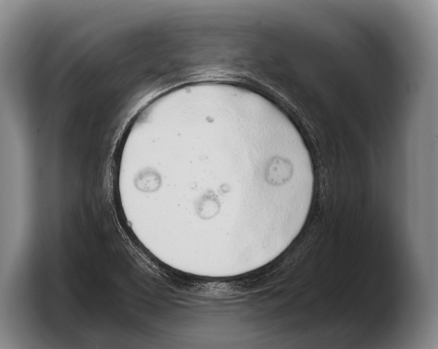 X0000103331463200810061005