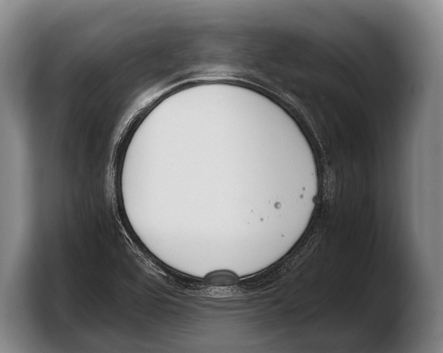 X0000103331464200810061005