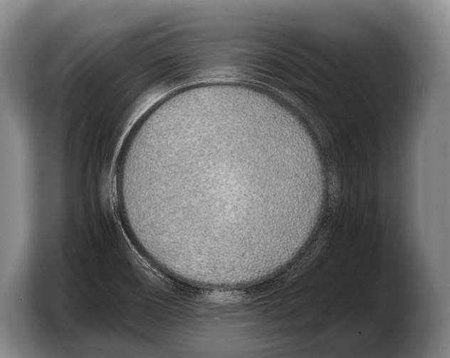 X0000103331466200810061005