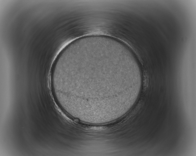 X0000103331468200810061005