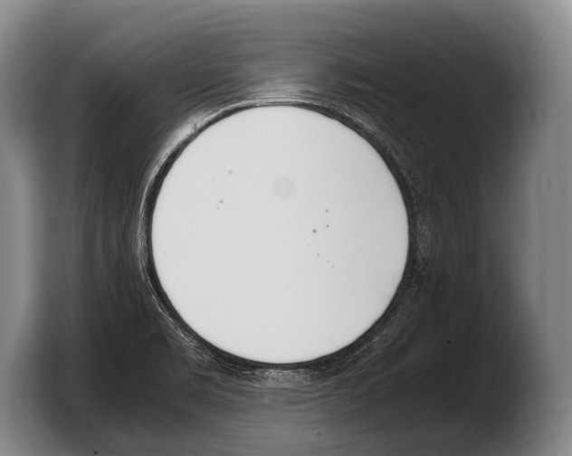 X0000103331469200810061005