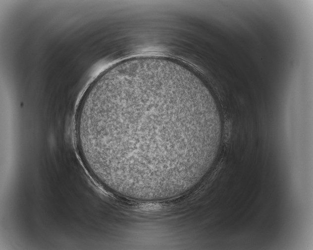 X0000103331470200810061005