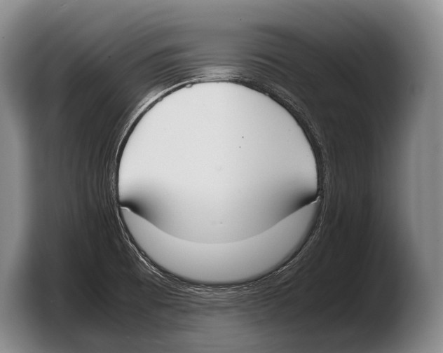 X0000103331473200810061005