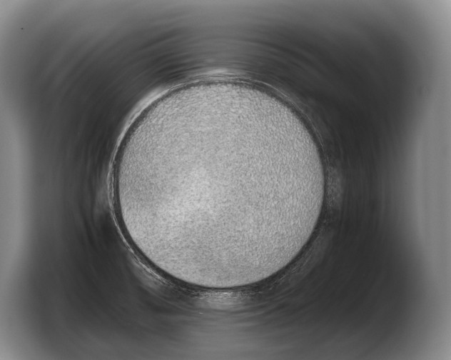 X0000103331474200810061005