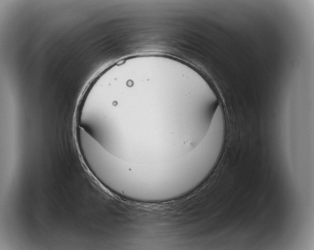 X0000103331480200810061005