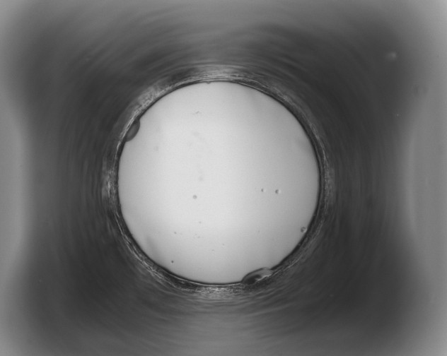 X0000103331481200810061005