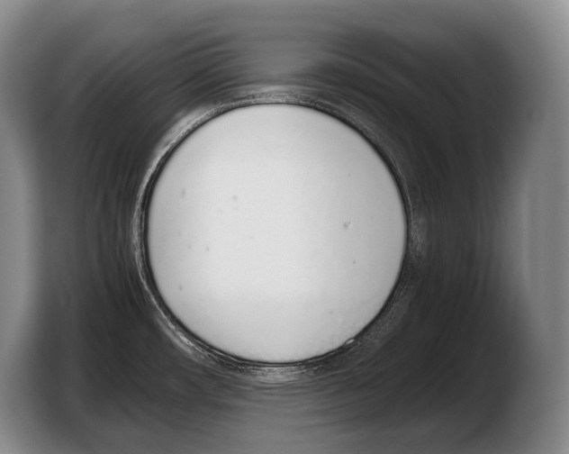 X0000103331482200810061005