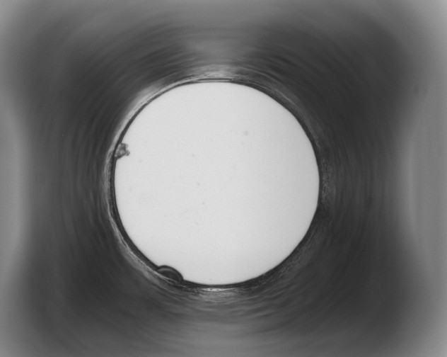 X0000103331483200810061005