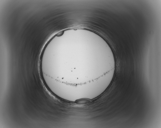 X0000103331484200810061005