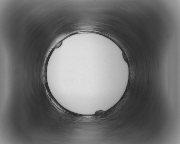 X0000103331485200810061005