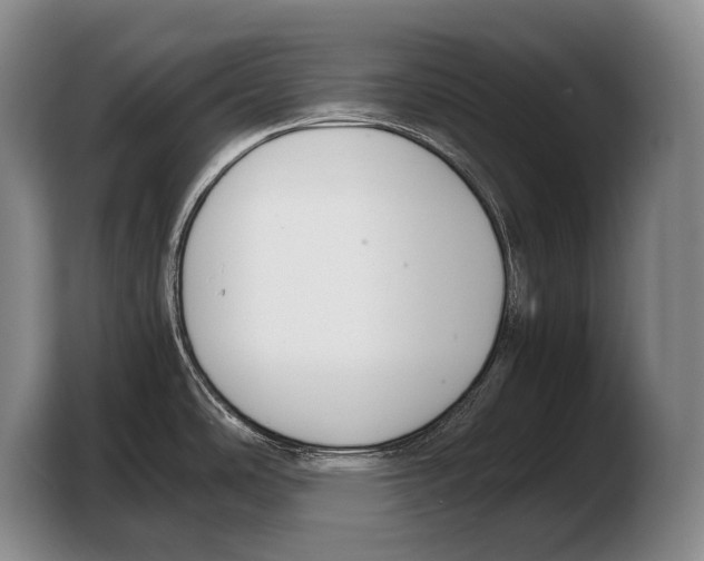 X0000103331486200810061004