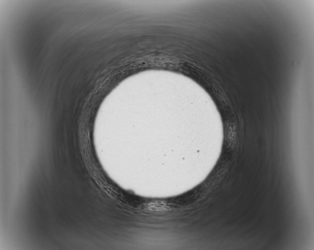 X0000103331489200810061004