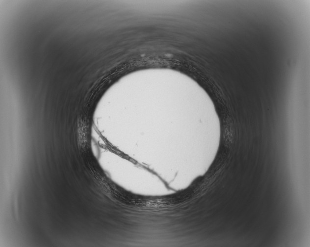 X0000103331490200810061004