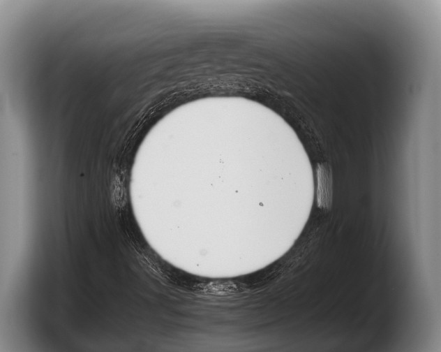 X0000103331491200810061004