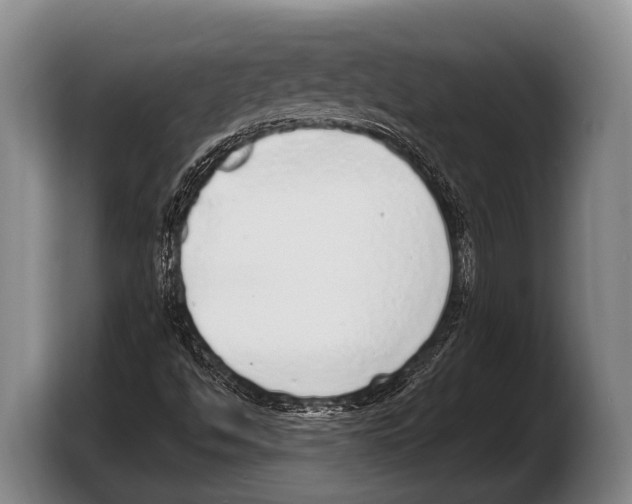 X0000103331494200810061004