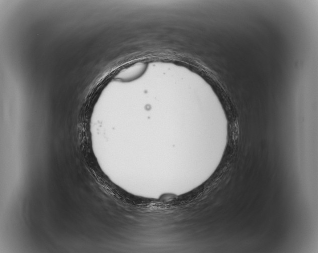 X0000103331496200810061004