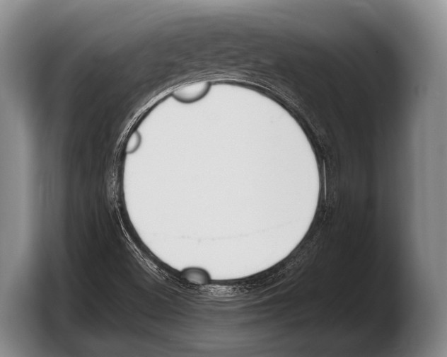 X0000103331500200810061004