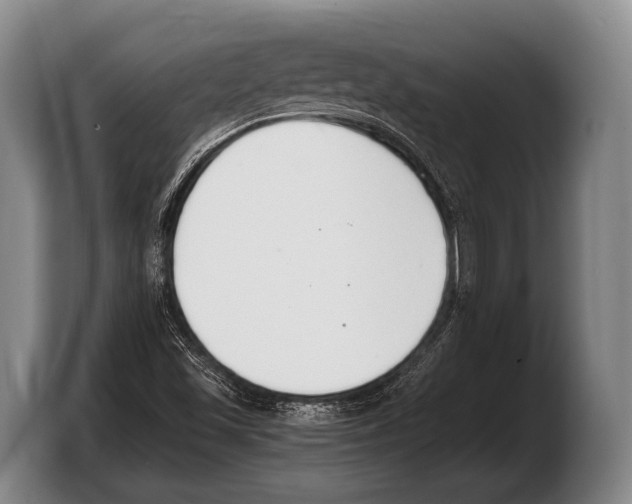 X0000103331501200810061004