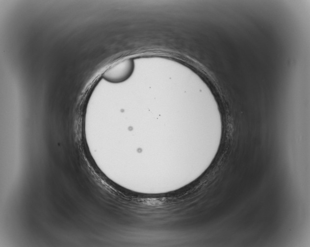 X0000103331504200810061004