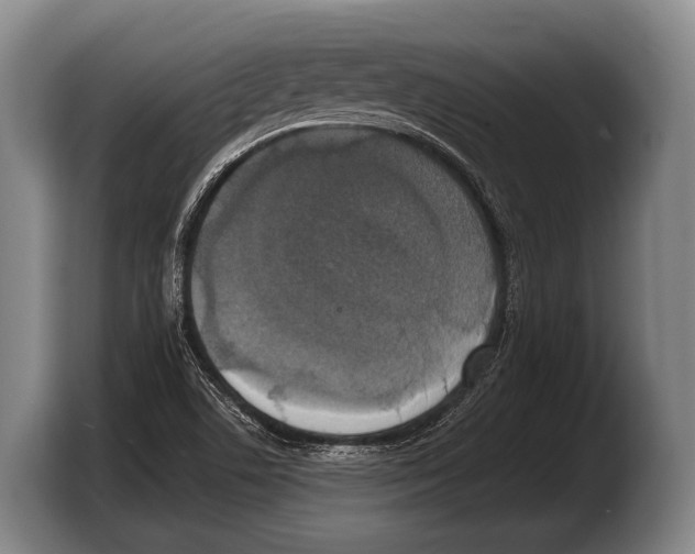 X0000103331506200810061004