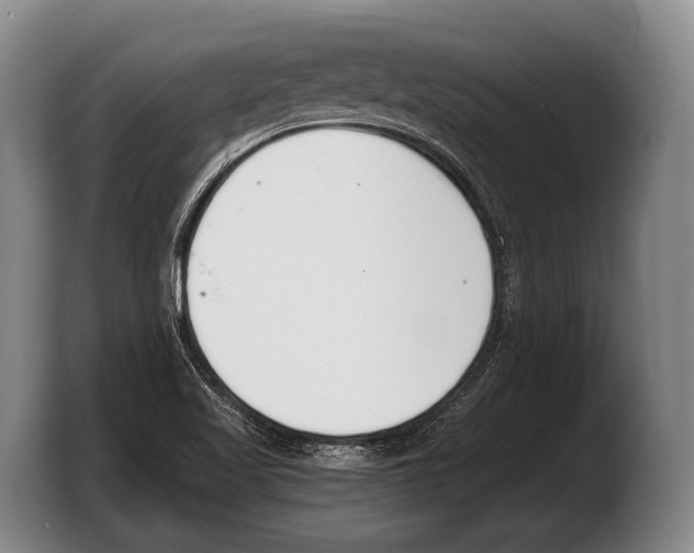 X0000103331509200810061004