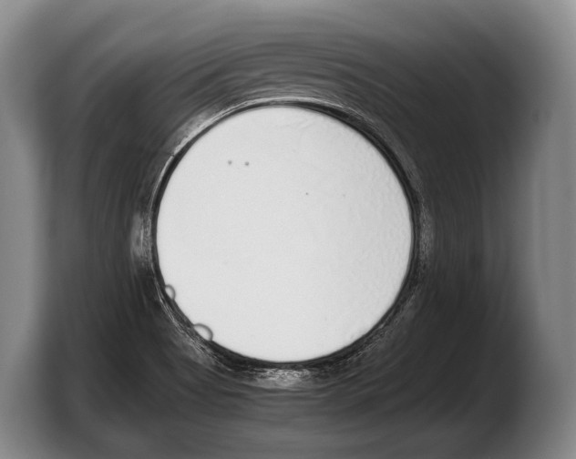 X0000103331513200810061004