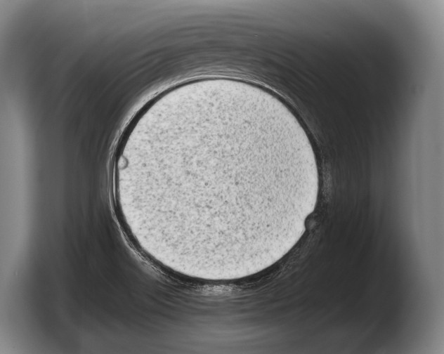 X0000103331515200810061004