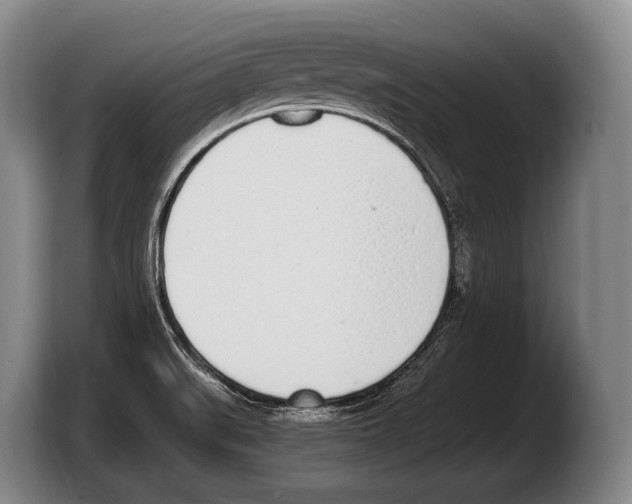 X0000103331519200810061004