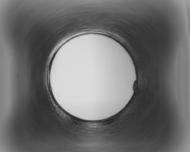 X0000103331520200810061004