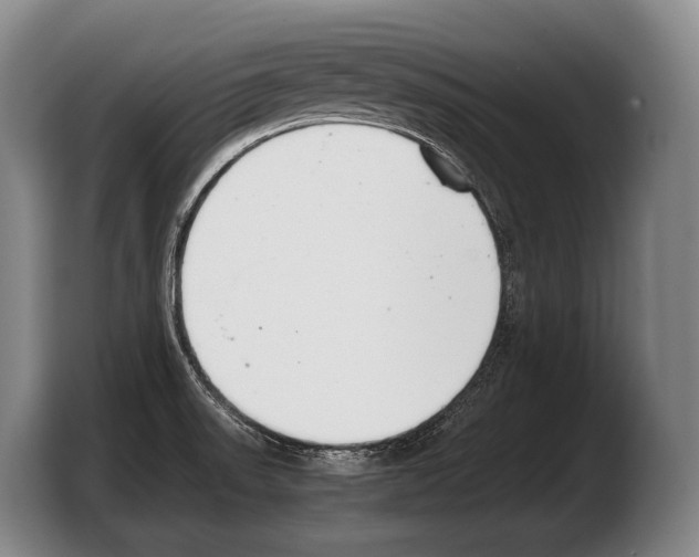 X0000103331523200810061004